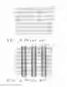 Fig. 04 - Twin MONOS Array for High Speed Application