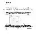 Fig. 16 - Process for separating data recorded during a continuous data acquisition seismic survey