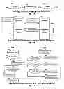 Fig. 10 - Apparatus and method for synchronized networks