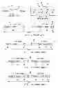 Fig. 02 - MAC extensions for smart antenna support