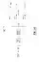 Fig. 08 - Asynchronous hybrid ARQ process indication in a MIMO wireless communication system