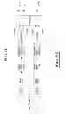 Fig. 12 - Asynchronous hybrid ARQ process indication in a MIMO wireless communication system