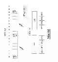 Fig. 13 - Asynchronous hybrid ARQ process indication in a MIMO wireless communication system