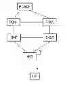 Fig. 01 - MOBILE COMMUNICATION METHOD AND CALL SESSION CONTROL SERVER APPARATUS