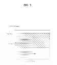 Fig. 06 - COMMUNICATION METHOD AND WIRELESS DEVICE SUPPORTING VARIABLE BANDWIDTH