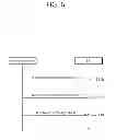 Fig. 07 - COMMUNICATION METHOD AND WIRELESS DEVICE SUPPORTING VARIABLE BANDWIDTH