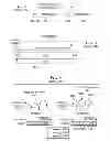 Fig. 03 - Method for determining the location of control channels in the uplink of communication systems