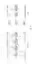 Fig. 02 - Scheduling request enabled uplink transmission