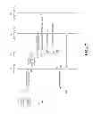 Fig. 04 - Method and apparatus for distinguishing cells with the same physical cell identifier