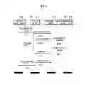 Fig. 07 - APPARATUS AND METHOD FOR MANAGING SLOT