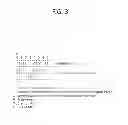 Fig. 04 - Method for transmitting packet-based media data having header in which overhead is minimized