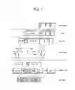Fig. 08 - Method for transmitting packet-based media data having header in which overhead is minimized