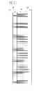 Fig. 08 - Edge-emitting semiconductor laser