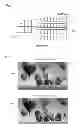 Fig. 05 - Method and apparatus for encoding an image