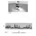 Fig. 06 - ADVANCED VIDEO CODING METHOD, APPARATUS, AND STORAGE MEDIUM