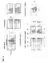 Fig. 07 - Moving image processing apparatus