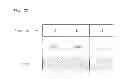 Fig. 23 - Apparatus for transmitting and receiving a signal and method of transmitting and receiving a signal