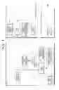 Fig. 02 - Semiconductor device and information processing system for encrypted communication