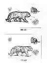 Fig. 10 - Systems and methods for tracking objects