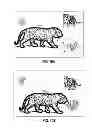 Fig. 13 - Systems and methods for tracking objects