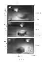 Fig. 04 - Methods for rapid distinction between debris and growing cells