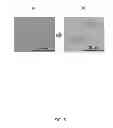Fig. 06 - Methods for rapid distinction between debris and growing cells