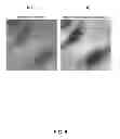 Fig. 07 - Methods for rapid distinction between debris and growing cells