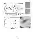 Fig. 09 - Methods for rapid distinction between debris and growing cells