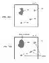 Fig. 19 - Methods for rapid distinction between debris and growing cells