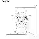Fig. 12 - Red-eye determination device