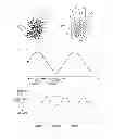 Fig. 01 - Biometric authentication apparatus and biometric authentication method
