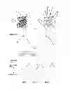 Fig. 04 - Biometric authentication apparatus and biometric authentication method