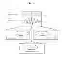 Fig. 14 - Magnetic resonance imaging apparatus and method of acquiring functional image