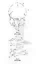 Fig. 03 - Method and system of measuring anatomical features in subcutaneous images to assess risk of injury
