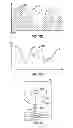 Fig. 19 - Method and system of measuring anatomical features in subcutaneous images to assess risk of injury