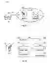 Fig. 20 - Method and system of measuring anatomical features in subcutaneous images to assess risk of injury