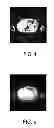 Fig. 04 - Apparatus for generating assignments between image regions of an image and element classes