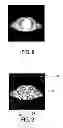 Fig. 06 - Apparatus for generating assignments between image regions of an image and element classes