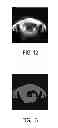Fig. 09 - Apparatus for generating assignments between image regions of an image and element classes