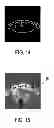 Fig. 10 - Apparatus for generating assignments between image regions of an image and element classes