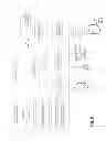 Fig. 10 - Cell feature-based automatic circulating tumor cell detection