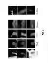 Fig. 05 - Intelligent part identification for use with scene characterization or motion capture