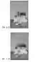 Fig. 172 - Systems and methods for statistics collection using pixel mask