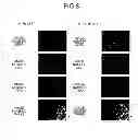 Fig. 09 - Region extraction apparatus, region extraction method, and computer program product