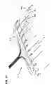 Fig. 43 - Flexible optical circuit, cassettes, and methods