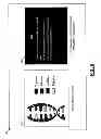 Fig. 06 - Systems and methods for generation of composite video