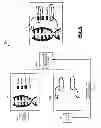 Fig. 07 - Systems and methods for generation of composite video