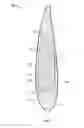 Fig. 04 - PROPELLER BLADE WITH MODIFIED SPAR STIFFNESS