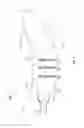 Fig. 05 - PROPELLER BLADE WITH MODIFIED SPAR STIFFNESS