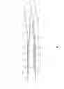 Fig. 04 - Paddle